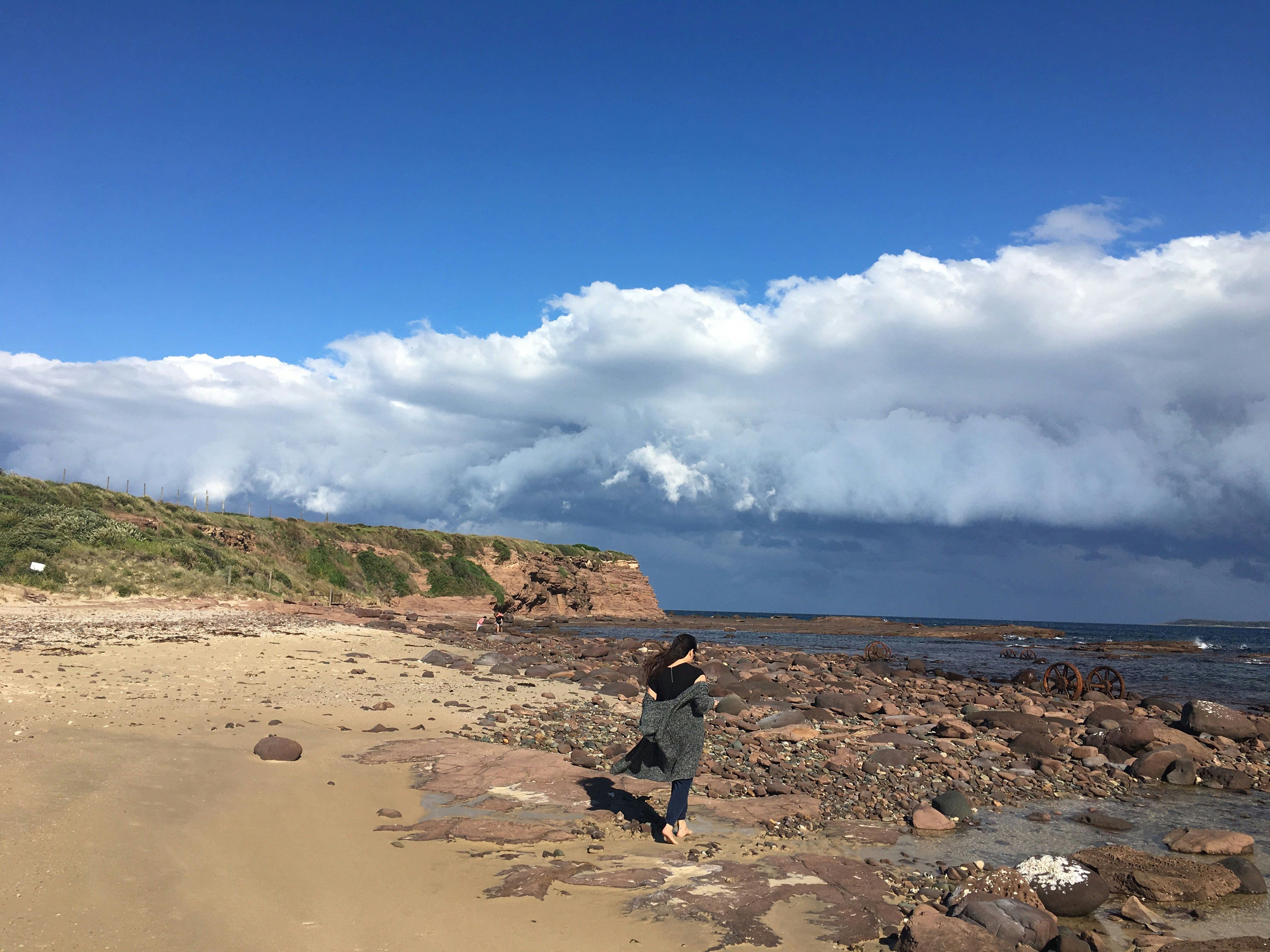 Free Unsplash photo from Isabelle Zhang