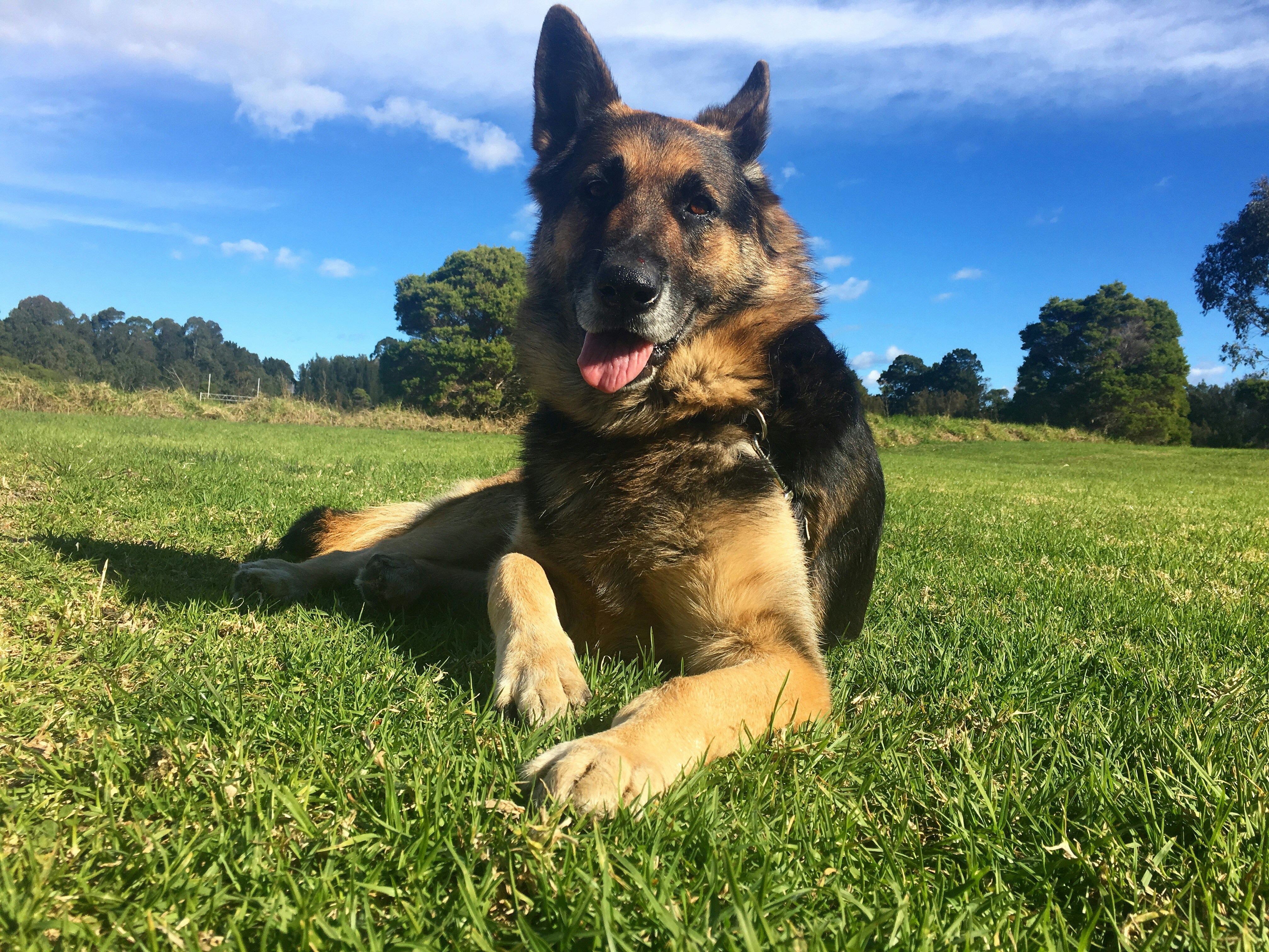 Free Unsplash photo from Isabelle Zhang