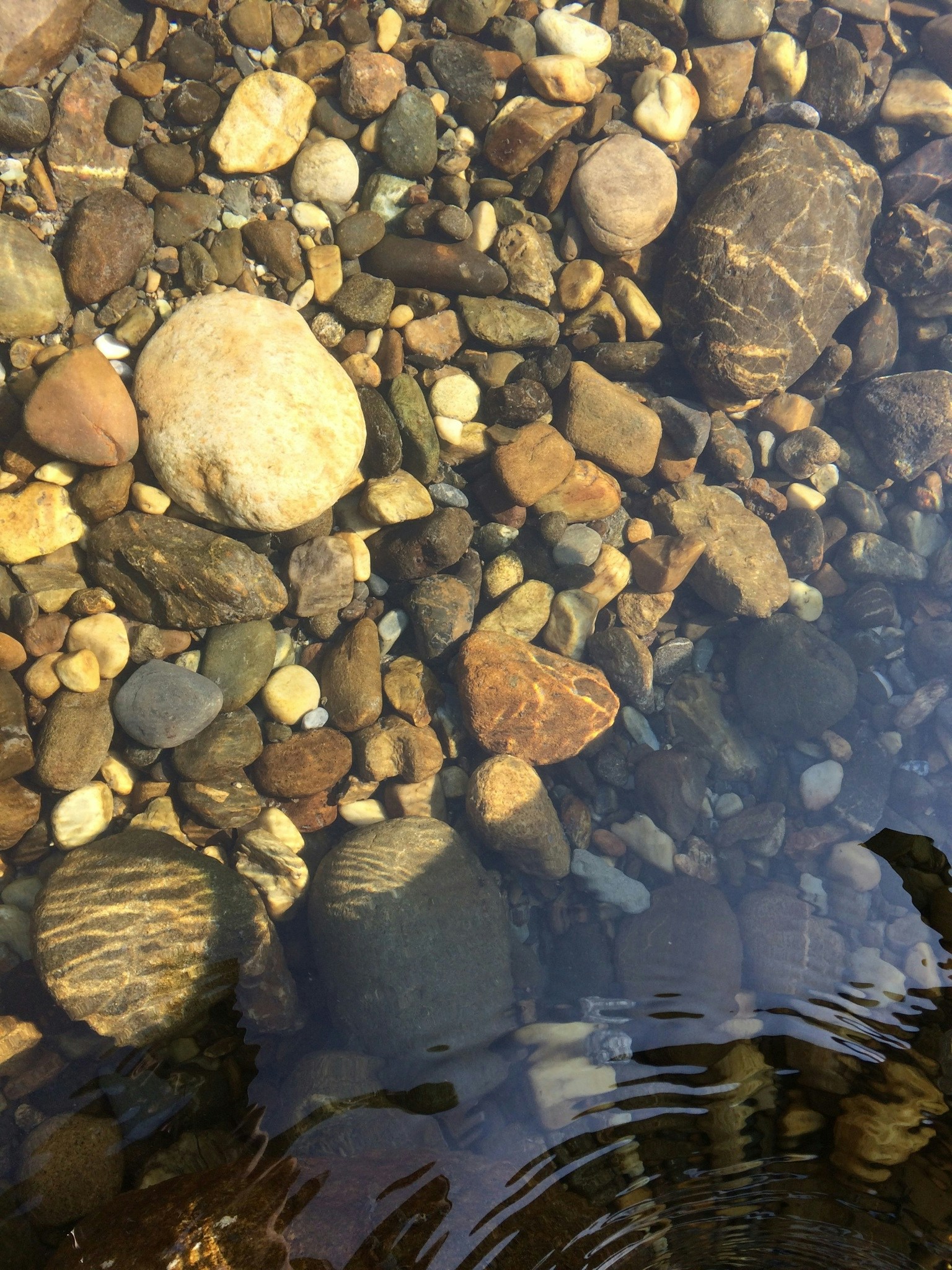 Free Unsplash photo from Prashant Barman