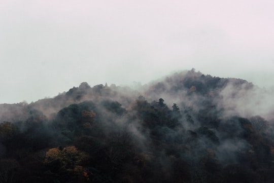 aerial photography of mountain in Arashiyama Japan