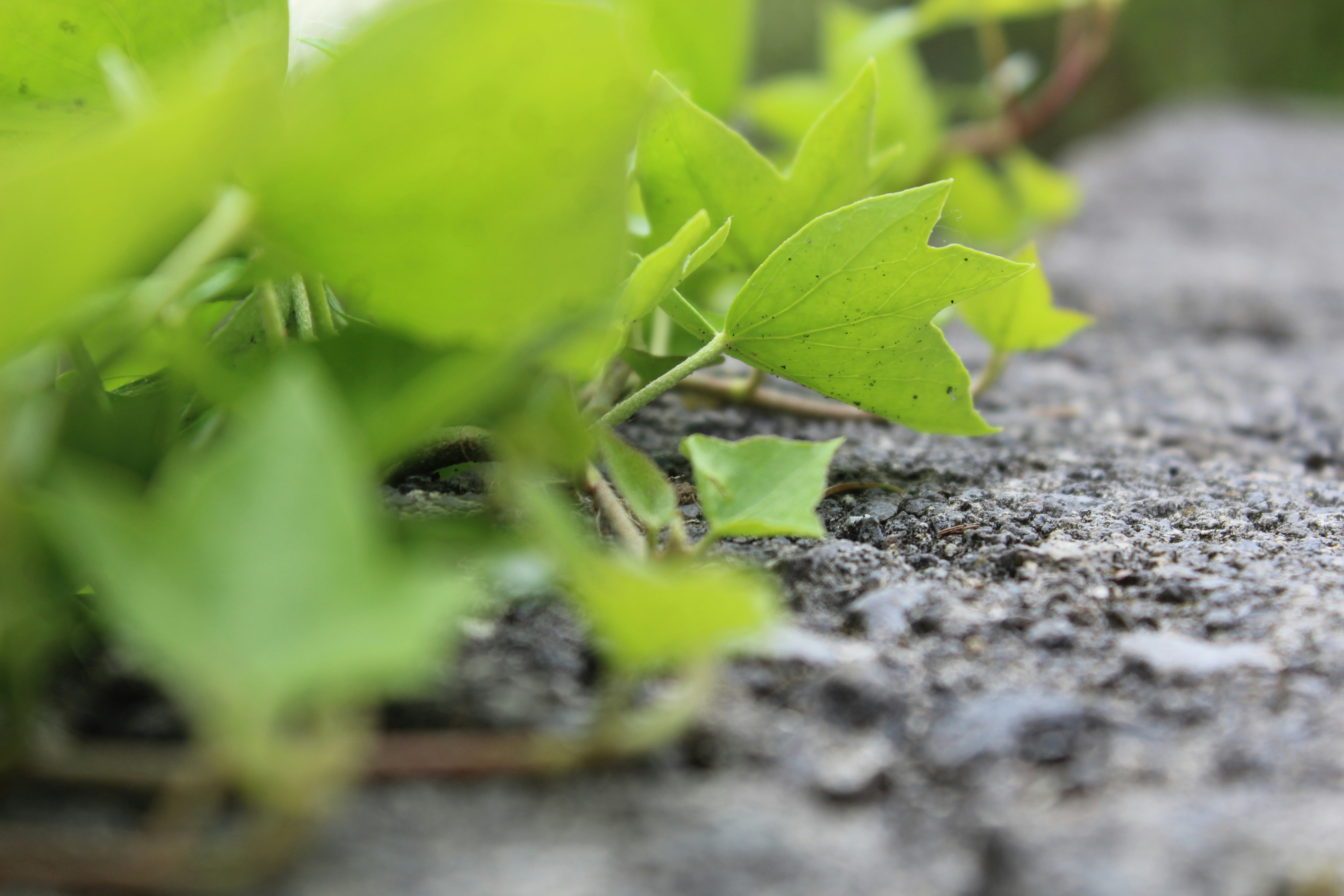 Free Unsplash photo from Jonathan Mateos