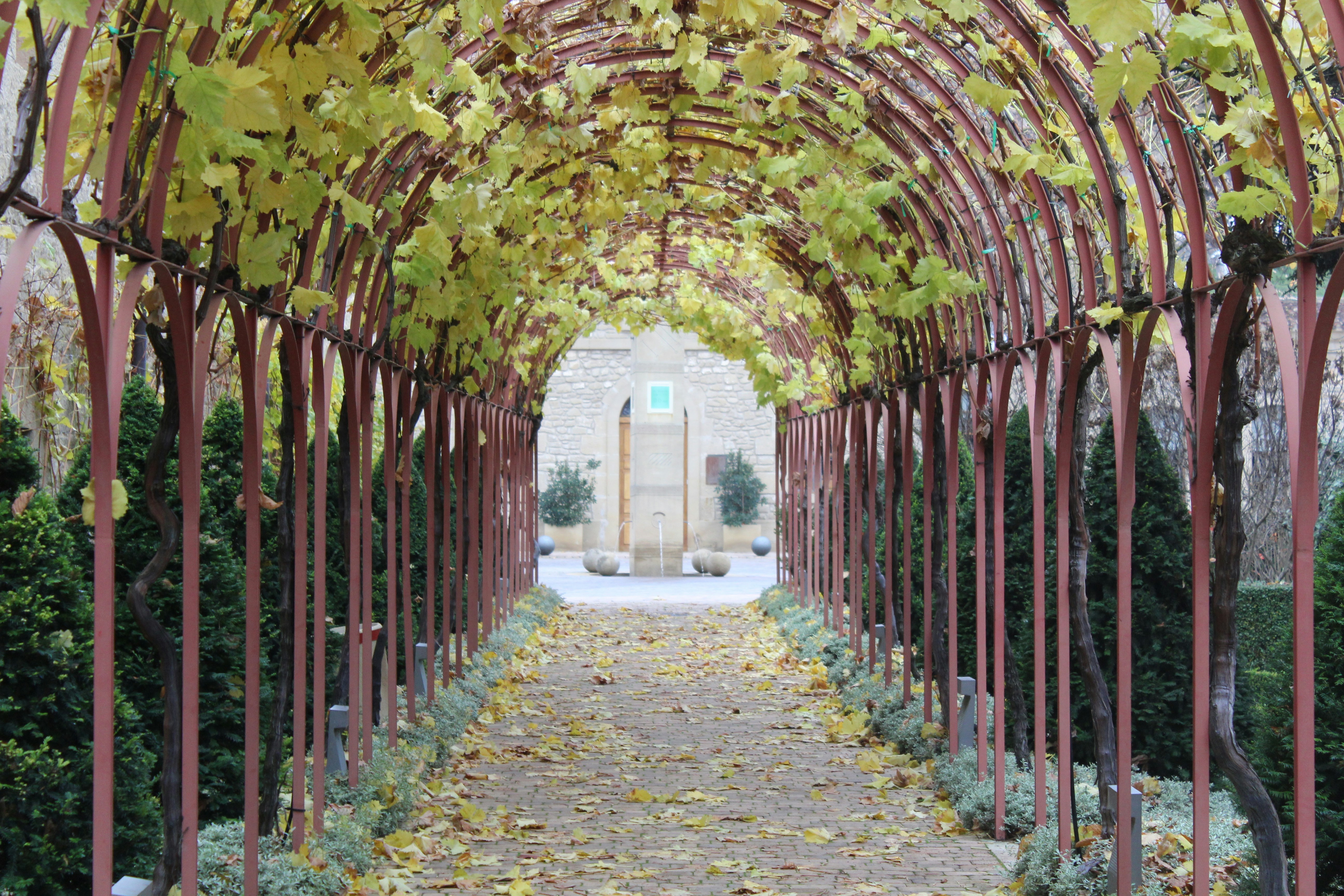 Free Unsplash photo from Jonathan Mateos