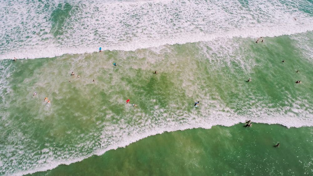 aerial photo of people on seashore with waves and bubbles at daytime
