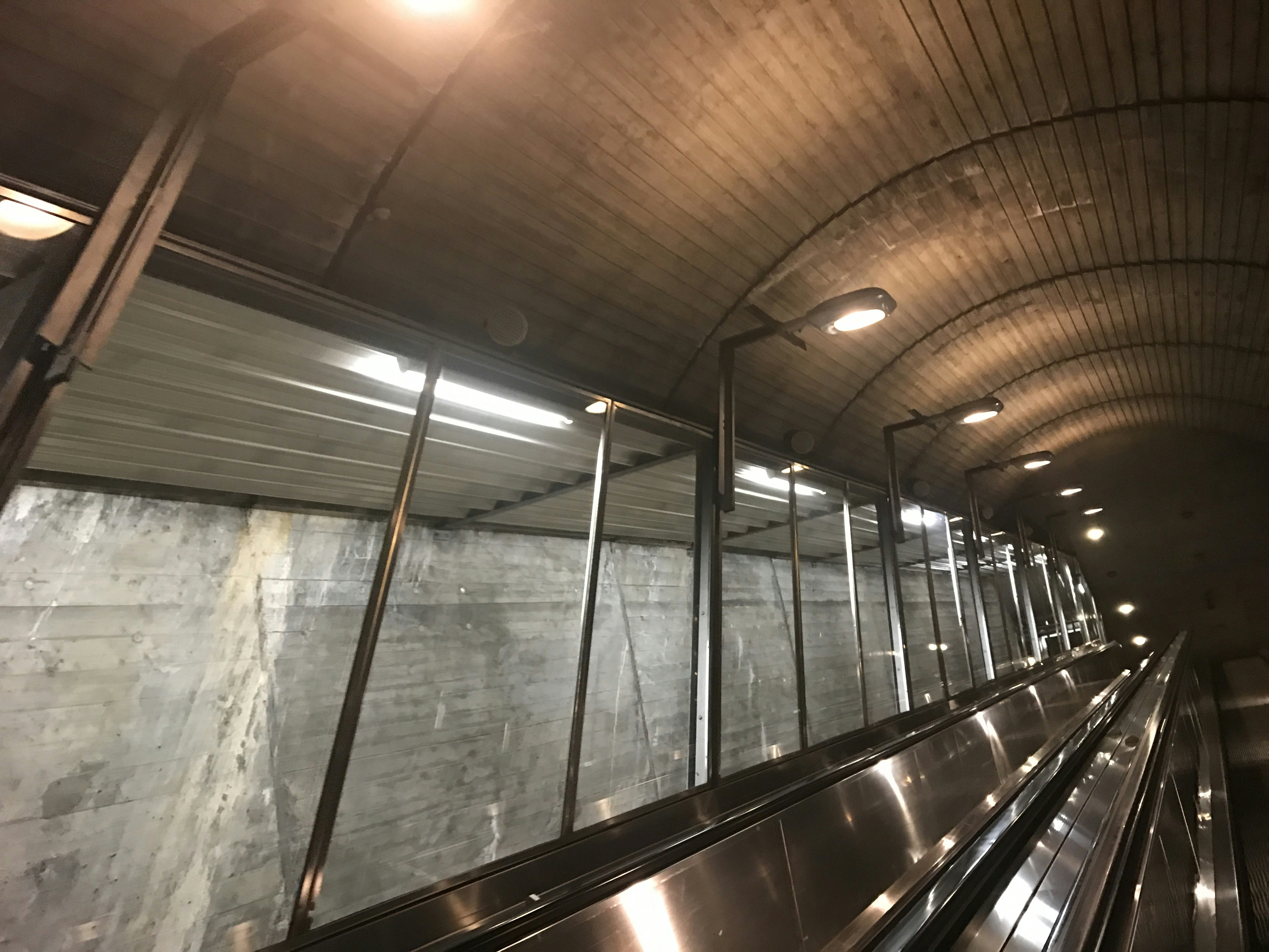 Free Unsplash photo from Oxana Nicolaisen