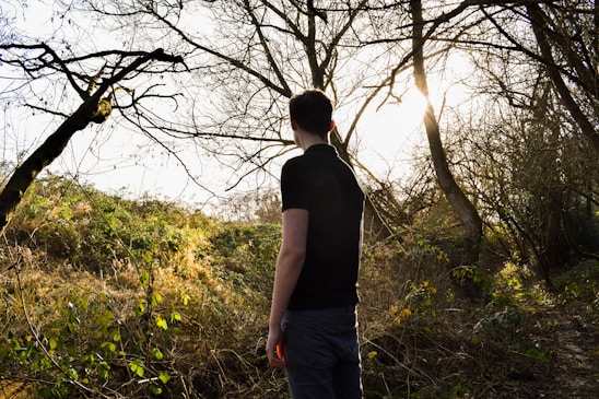A warm portrait of Clara Dawson standing in a forest clearing, sunlight filtering through the trees behind her.