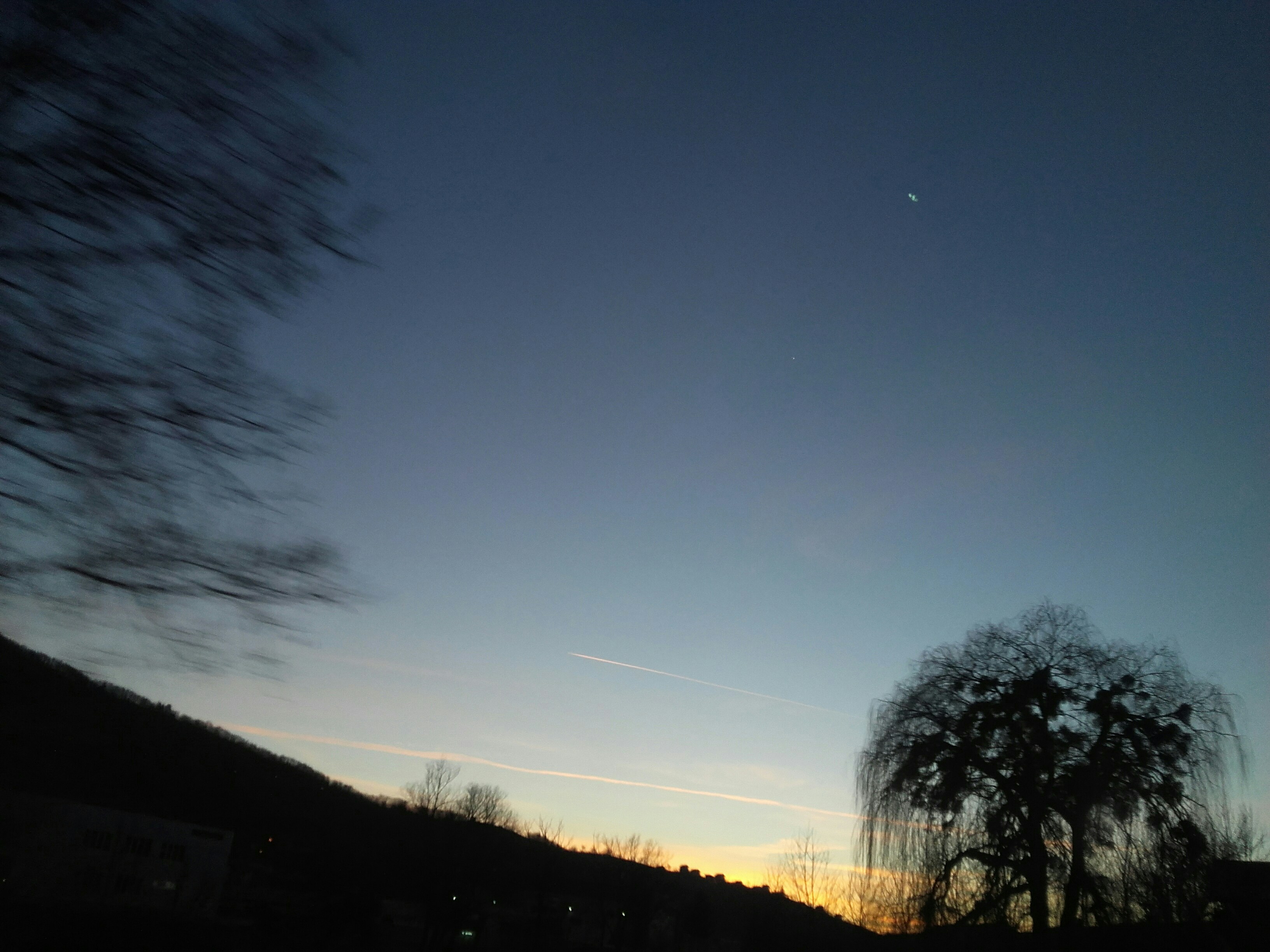 Free Unsplash photo from Adela Mesic