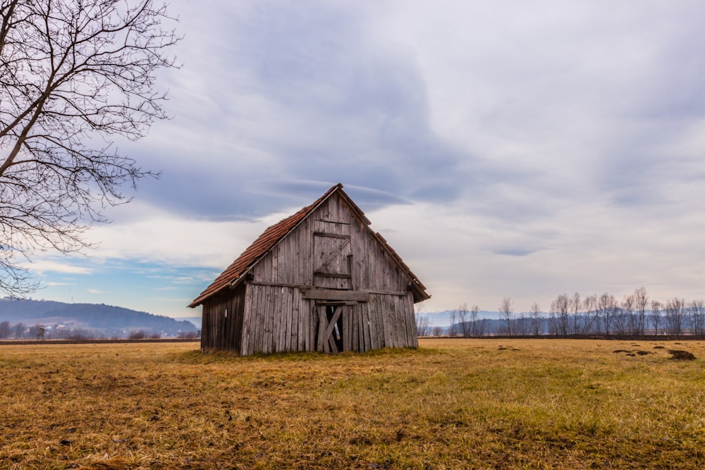 photography of brown wooden hut