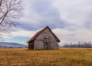 photography of brown wooden hut