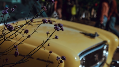 Torna la Giulietta con Mirafiori Outlet, ed il KM zero diventa il futuro