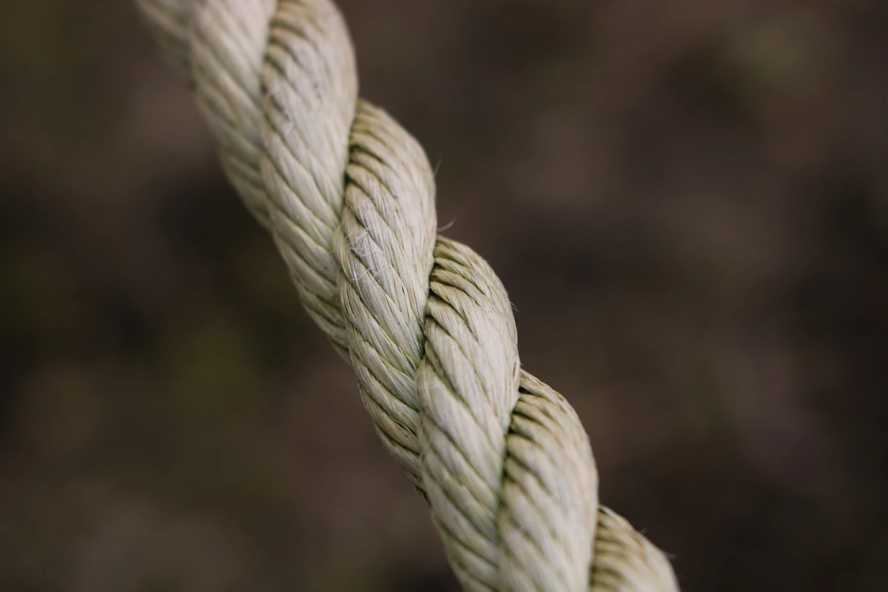 Close-up of a pale three-strand twisted rope against a dark blurred background