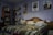 A dog lies comfortably on a neatly made bed, which has a colorful patterned blanket and pillows. Bookshelves filled with books line the walls, and several posters are displayed above the bed. The room is softly lit, creating a cozy atmosphere.