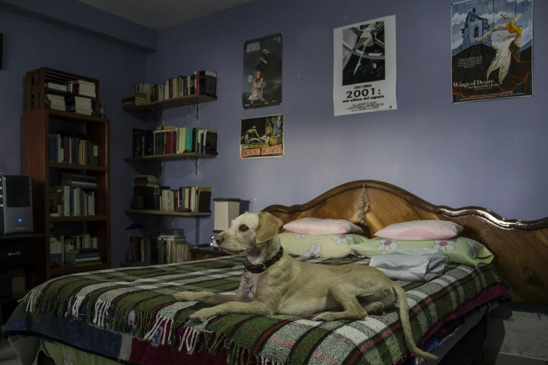 woman wearing yellow long-sleeved dress under white clouds and blue sky during daytime