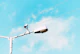 closeup photo of white lamp post and camera