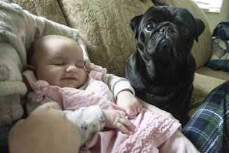A baby is peacefully sleeping in a pink outfit, cradled in a cozy environment on a patterned couch. Beside the baby, a black pug is sitting attentively, looking directly at the camera. The scene conveys warmth and tranquility.