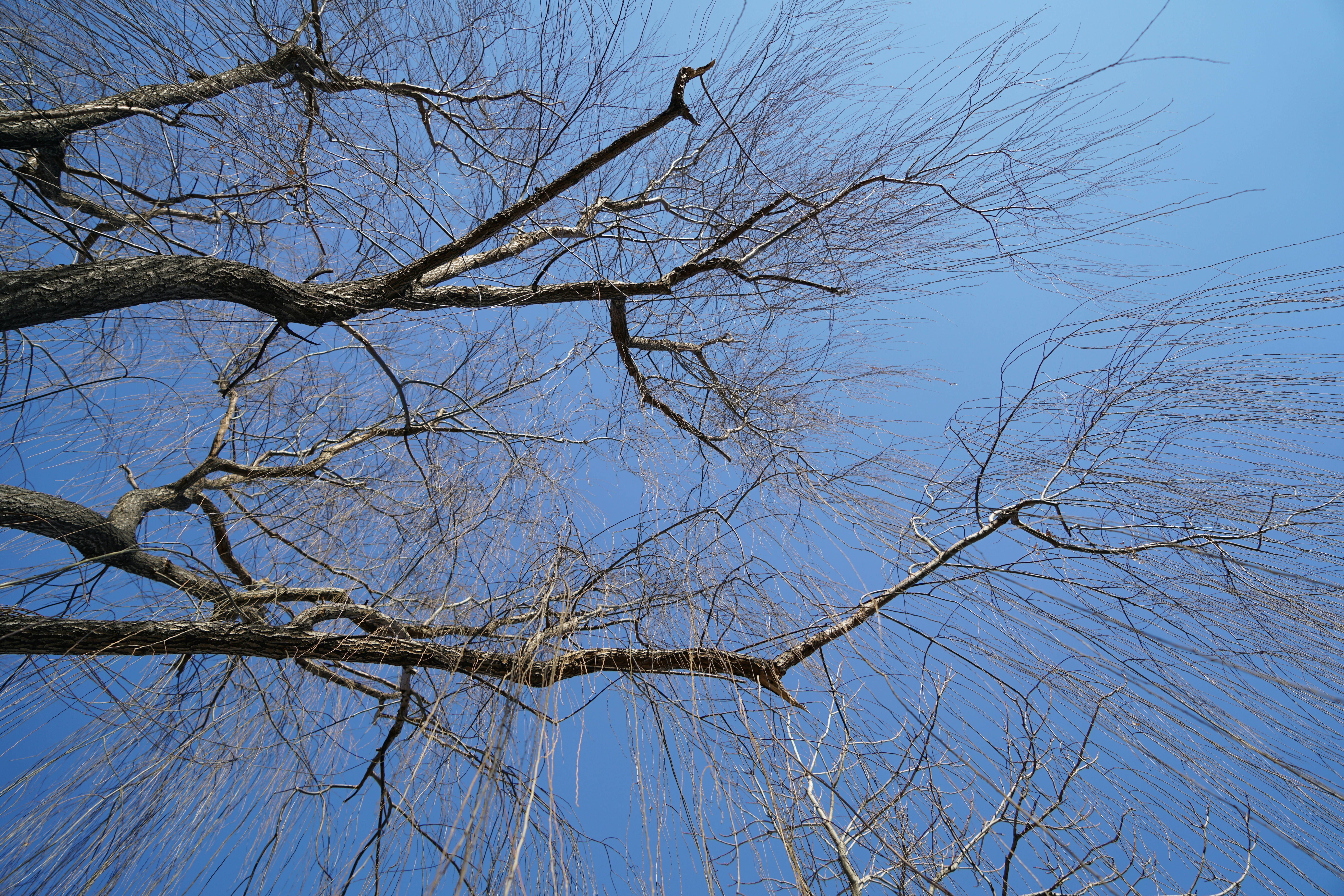 Free Unsplash photo from Paul Xie