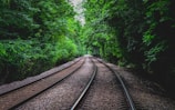 Railway tracks stretch into the distance, surrounded by dense, lush green foliage forming a natural tunnel. The symmetry of the tracks leads the eye forward, emphasizing depth and perspective. The scene is calm and serene, with the vibrant greenery creating an immersive, almost magical atmosphere.