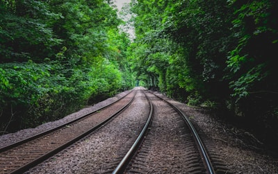 Railway tracks stretch into the distance, surrounded by dense, lush green foliage forming a natural tunnel. The symmetry of the tracks leads the eye forward, emphasizing depth and perspective. The scene is calm and serene, with the vibrant greenery creating an immersive, almost magical atmosphere.