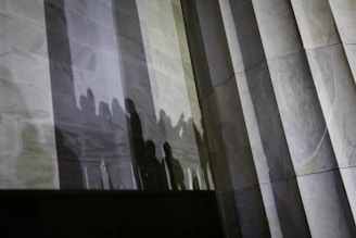 Soft shadows cast over a matte black architectural facade at dusk.