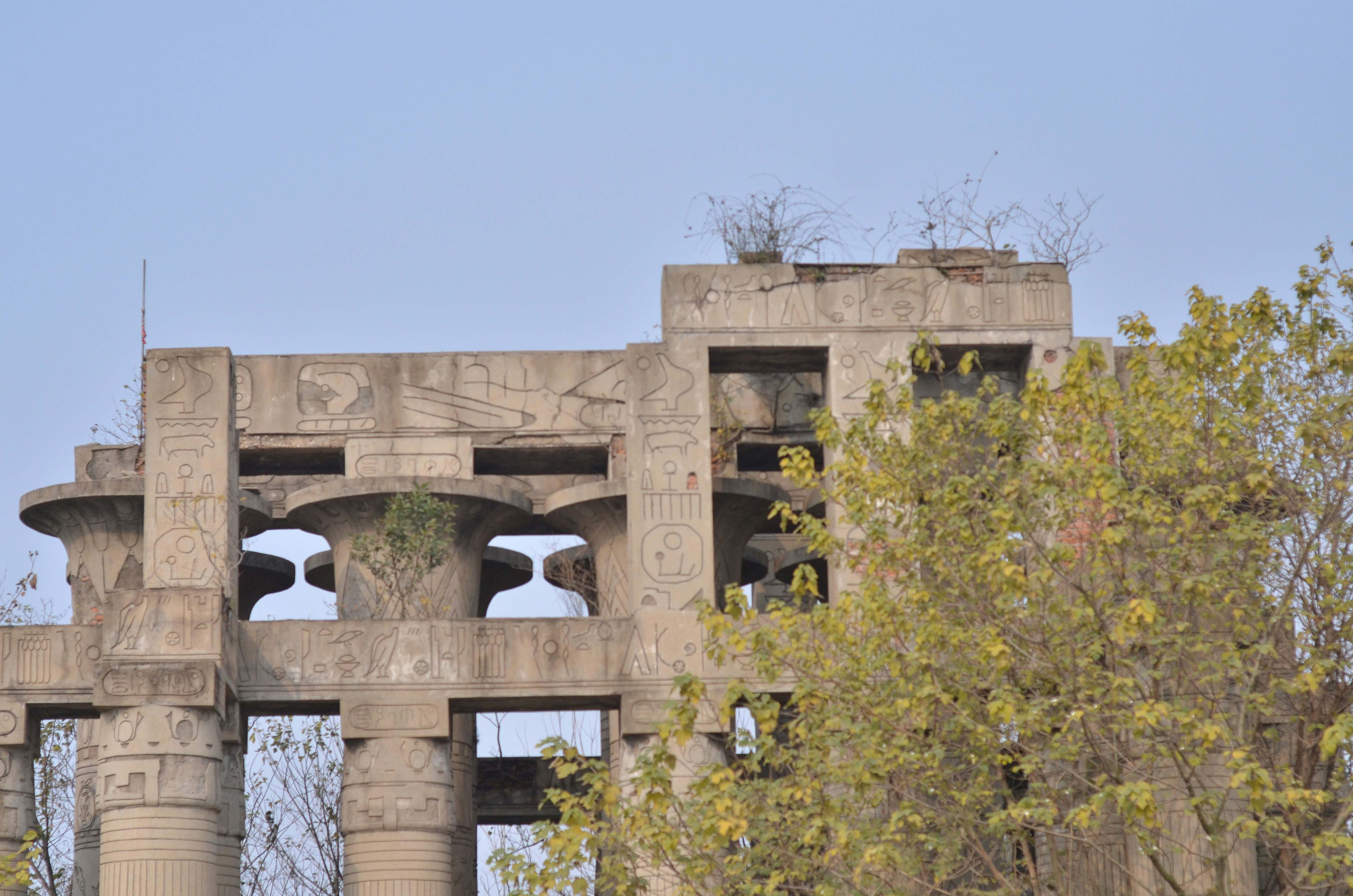 Free Unsplash photo from xu qiang