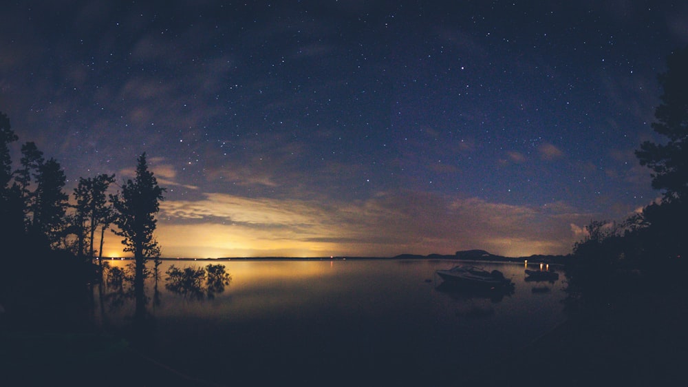 silhouette photo of trees and body of water during sunset