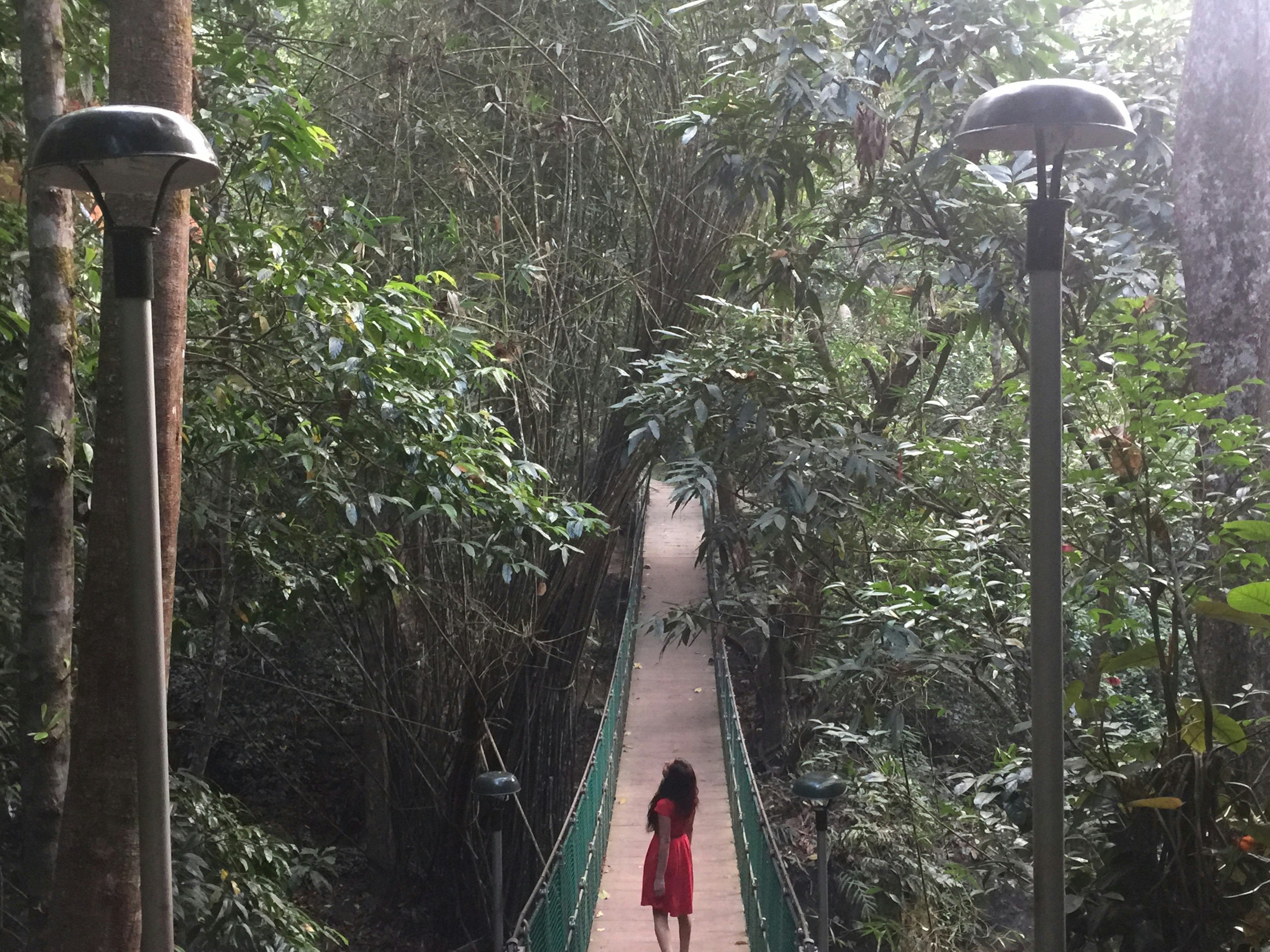 Free Unsplash photo from Sheena Kaur