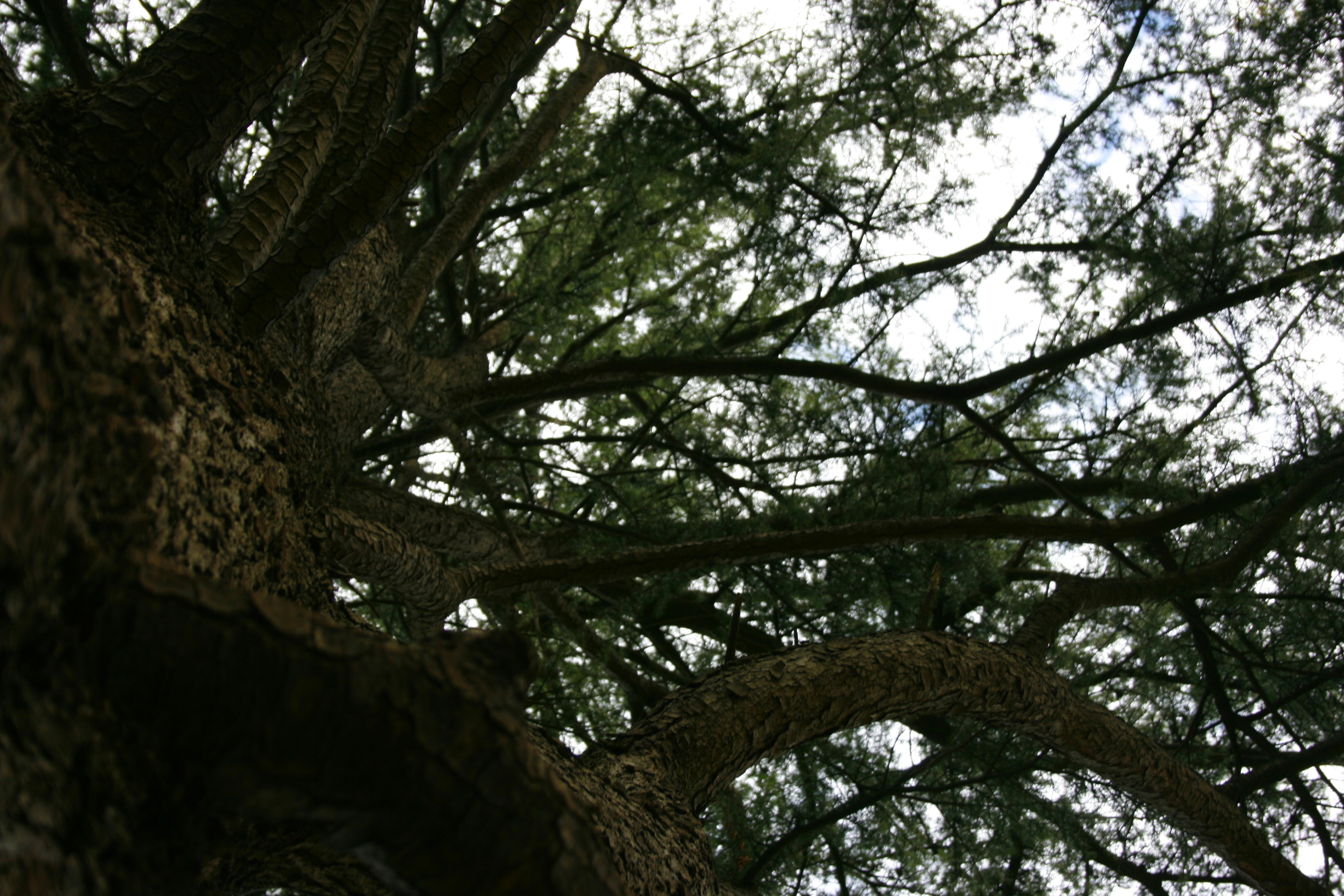 Free Unsplash photo from Jonathan Mateos