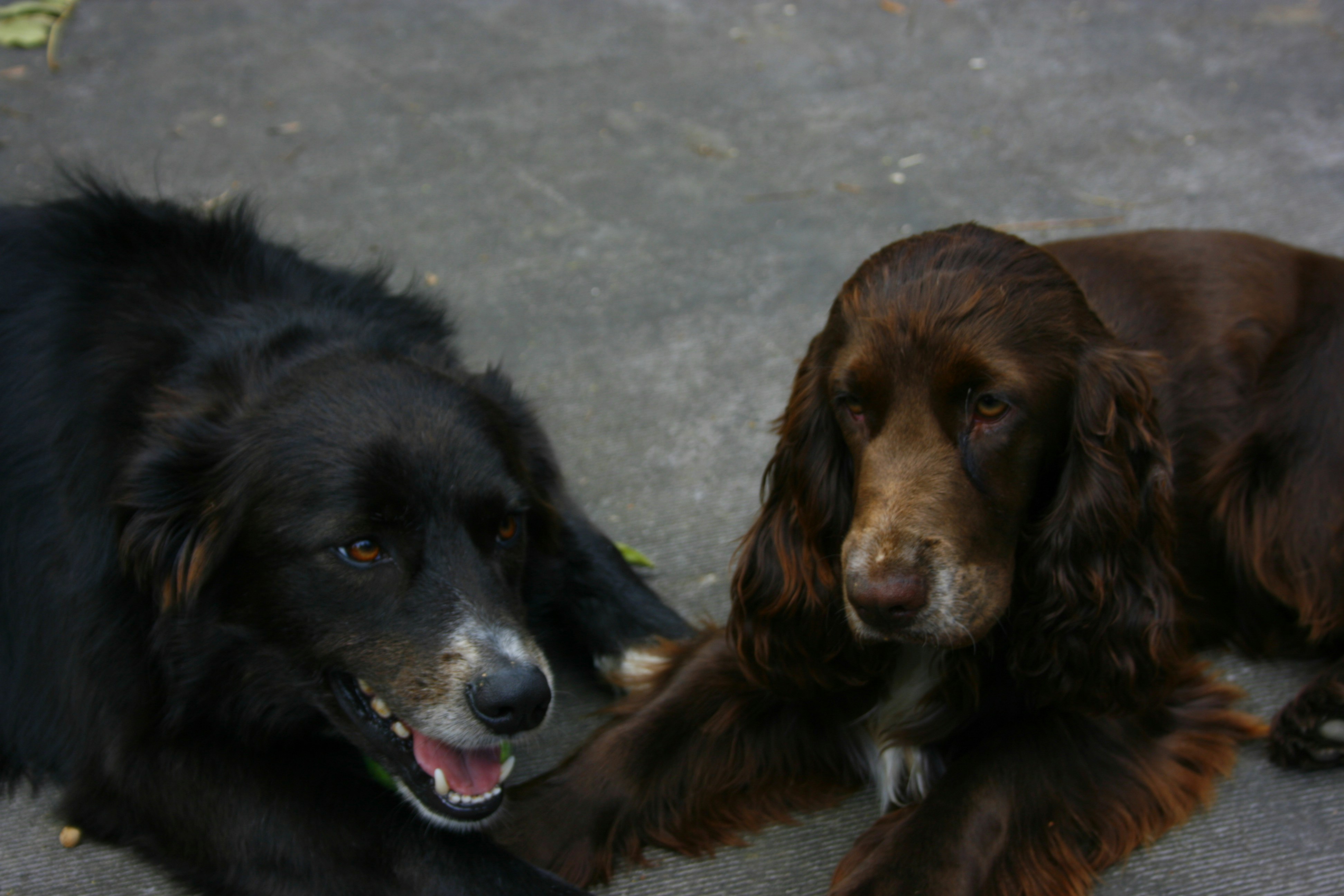 Free Unsplash photo from Jonathan Mateos