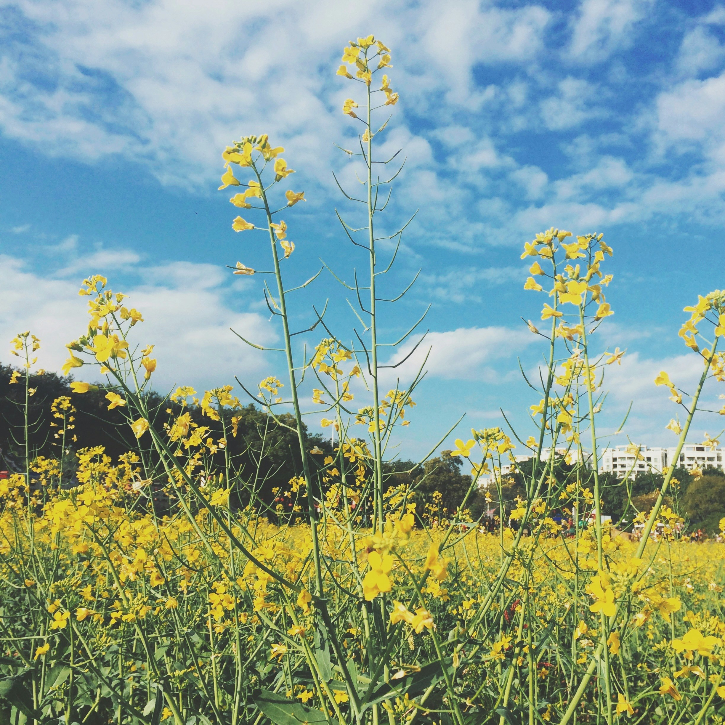 Free Unsplash photo from Daisy Swift