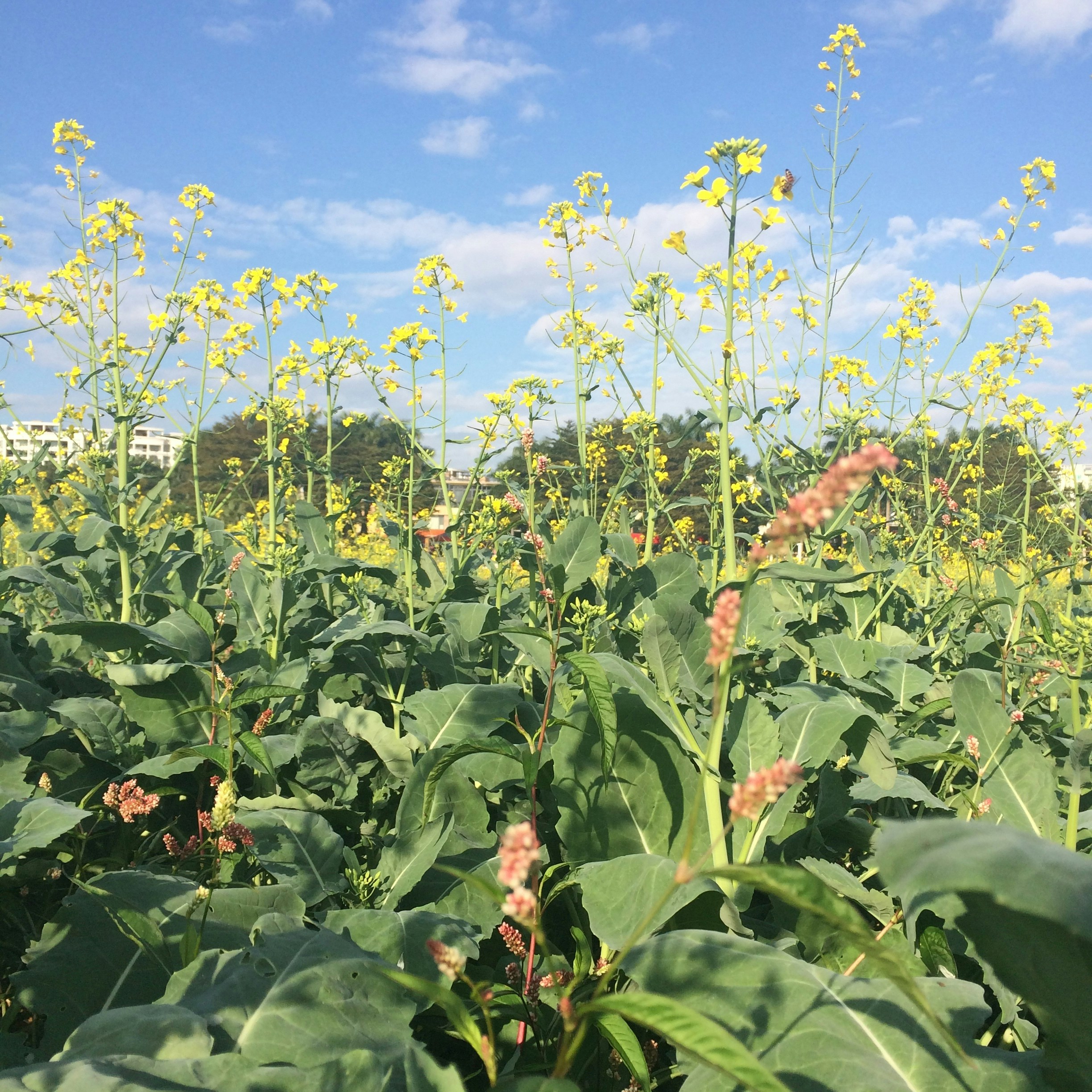 Free Unsplash photo from Daisy Swift