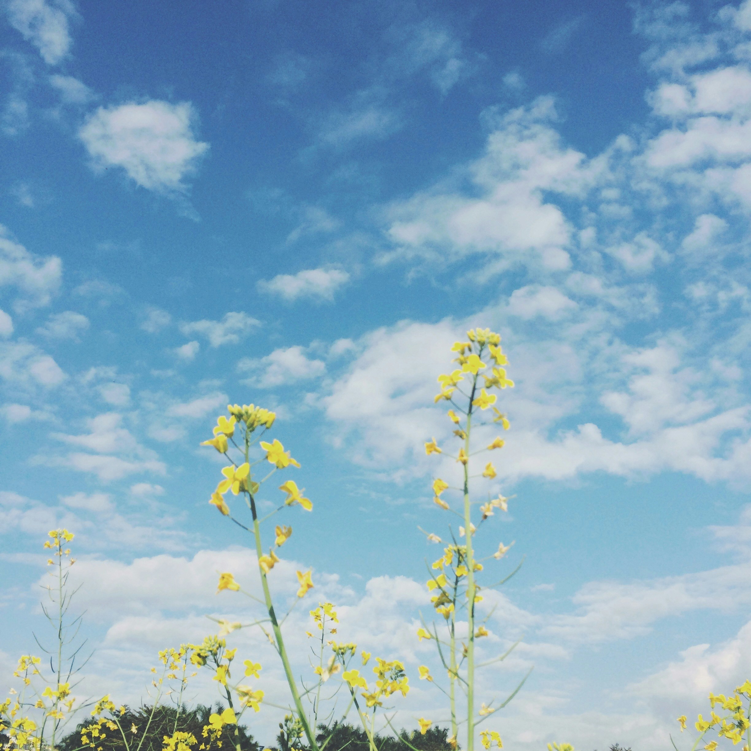 Free Unsplash photo from Daisy Swift