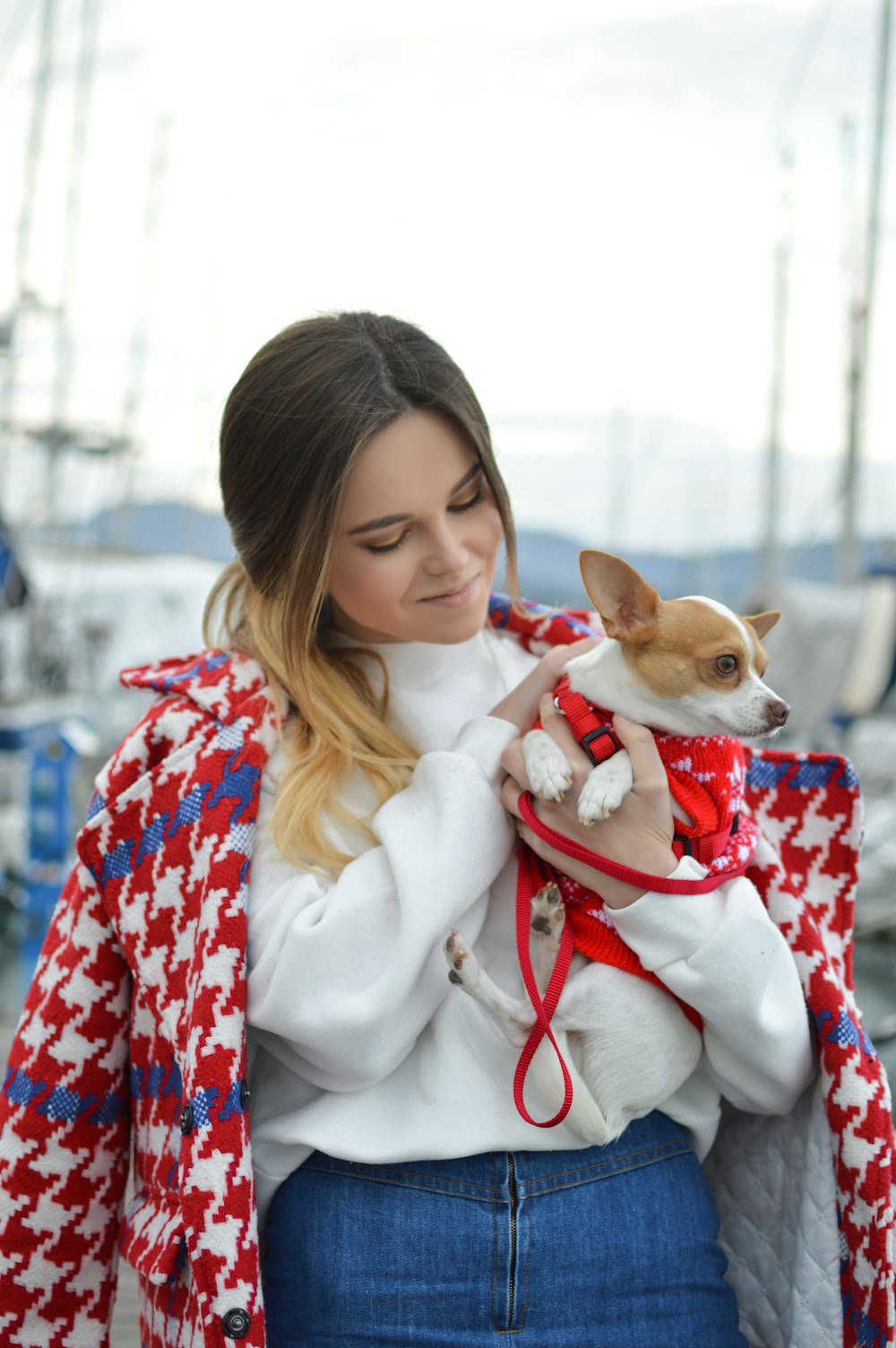 woman carrying chihuahua