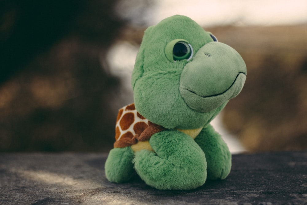 green frog plush toy on brown wooden table