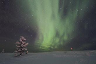 A serene night sky illuminated by vibrant northern lights over a peaceful snowy landscape.