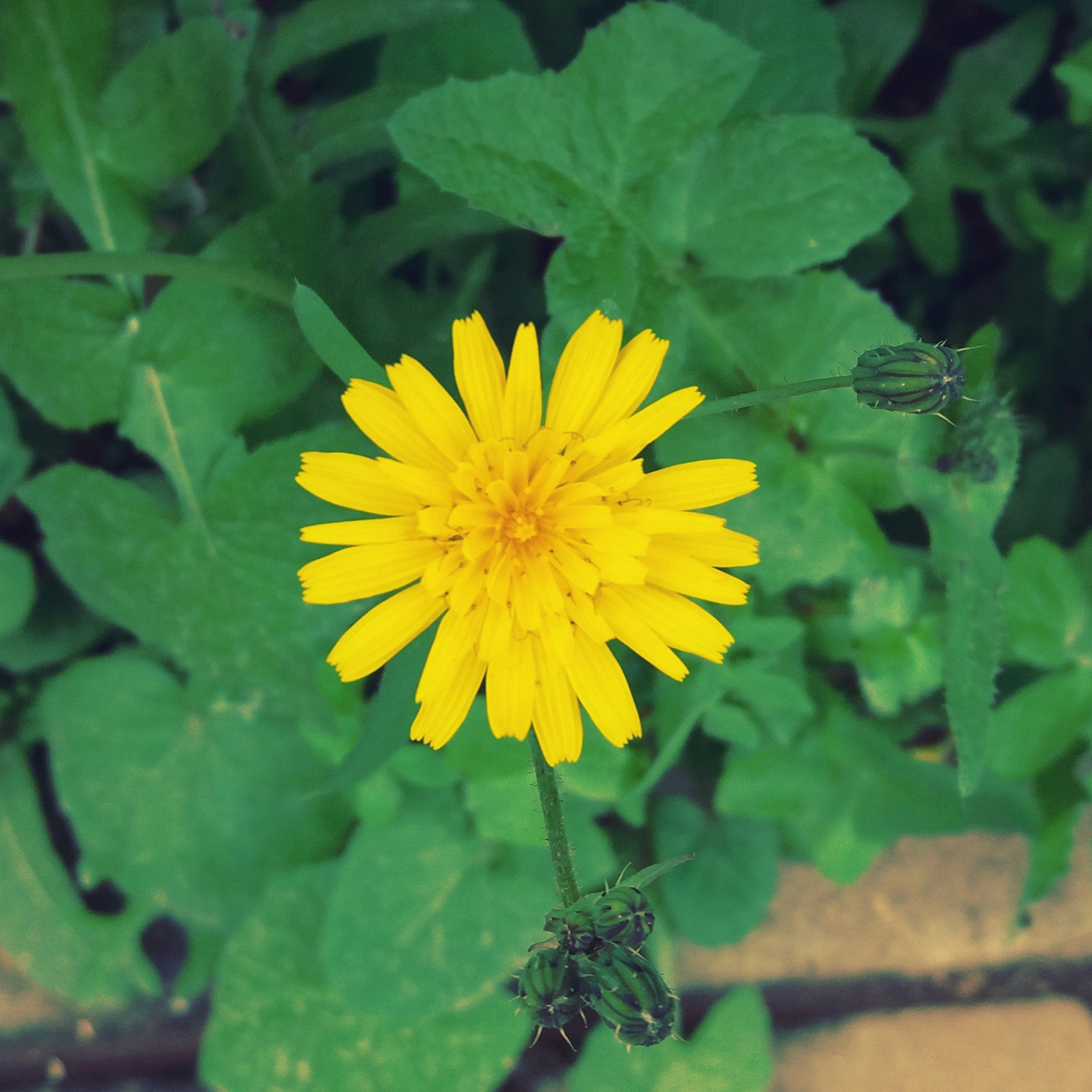 Free Unsplash photo from Nada Cham