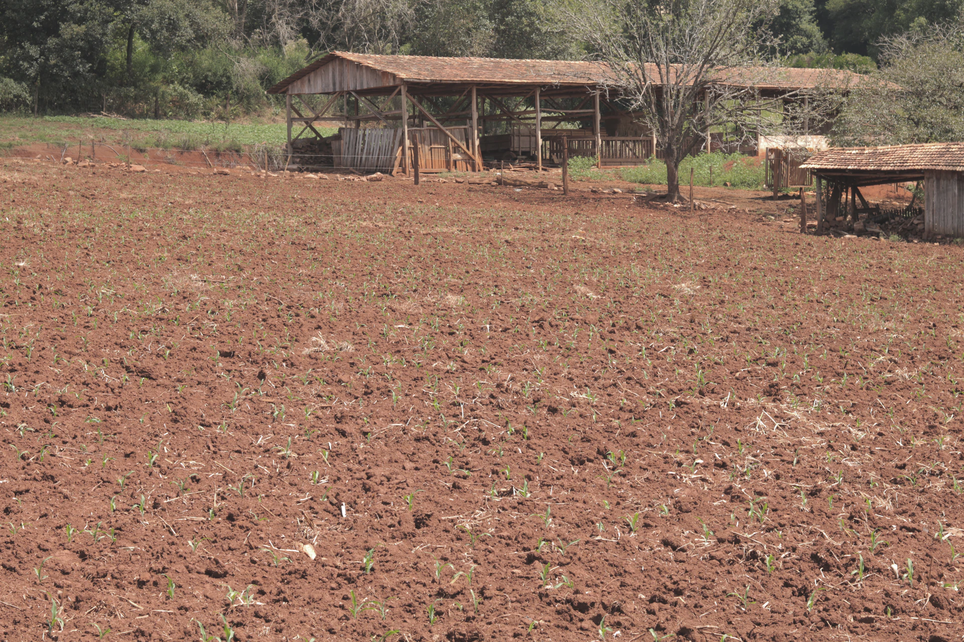 gray computer monitor