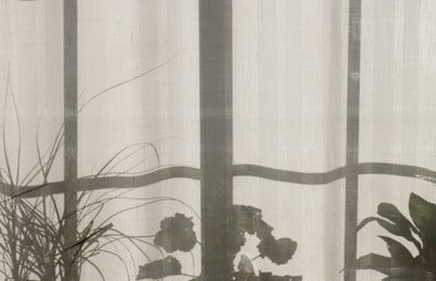 gray and white floral curtain shadow zoom background
