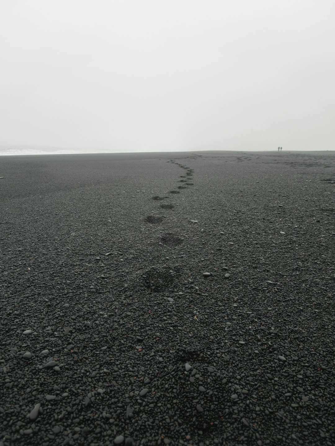 travelers stories about Ocean in Reynisfjara Beach, Iceland