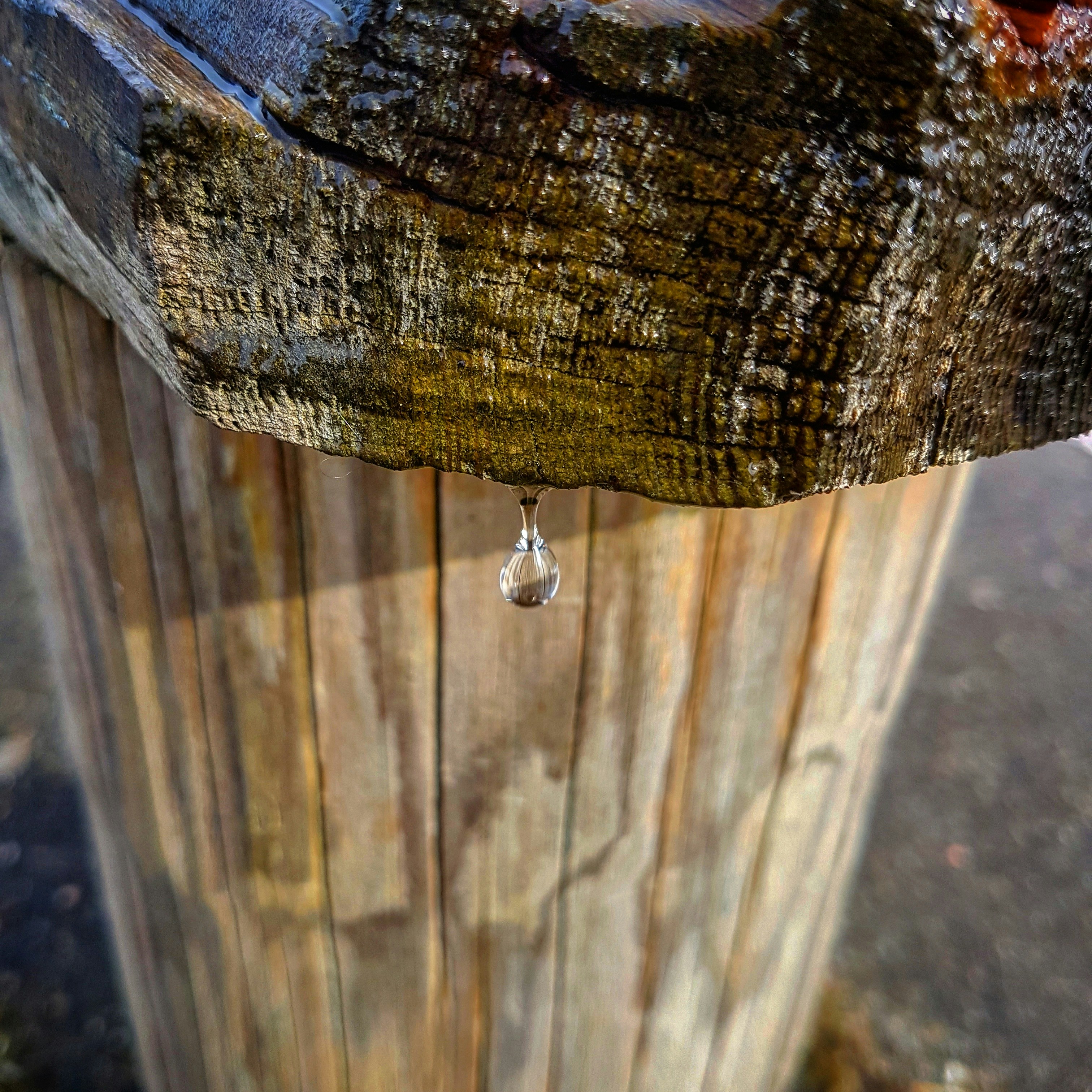 Free Unsplash photo from Hark J