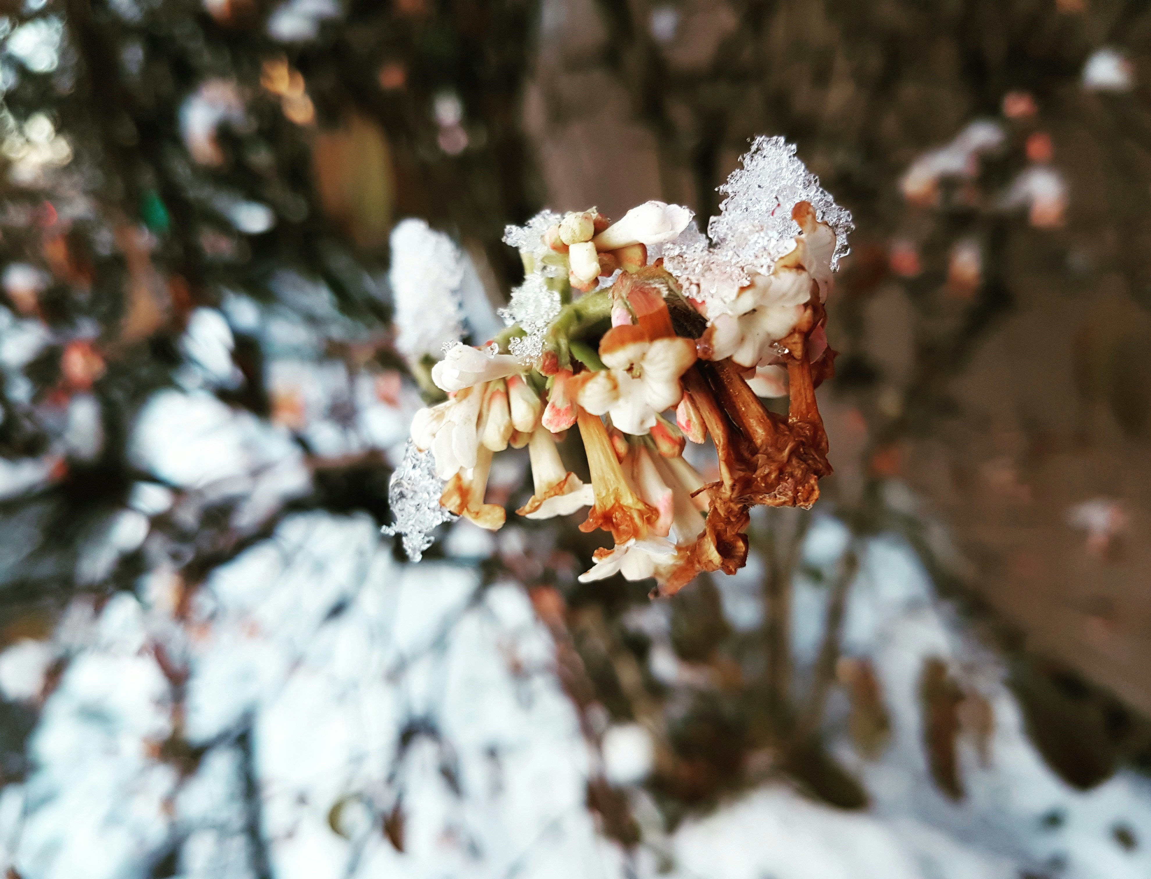 Free Unsplash photo from Hark J