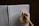 A hand holding a yellow pencil is writing 'Thought Catalog' on a lined notebook. The notebook has a red cover and is spiral-bound, resting on a dark surface.