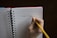 A hand holding a yellow pencil is writing 'Thought Catalog' on a lined notebook. The notebook has a red cover and is spiral-bound, resting on a dark surface.