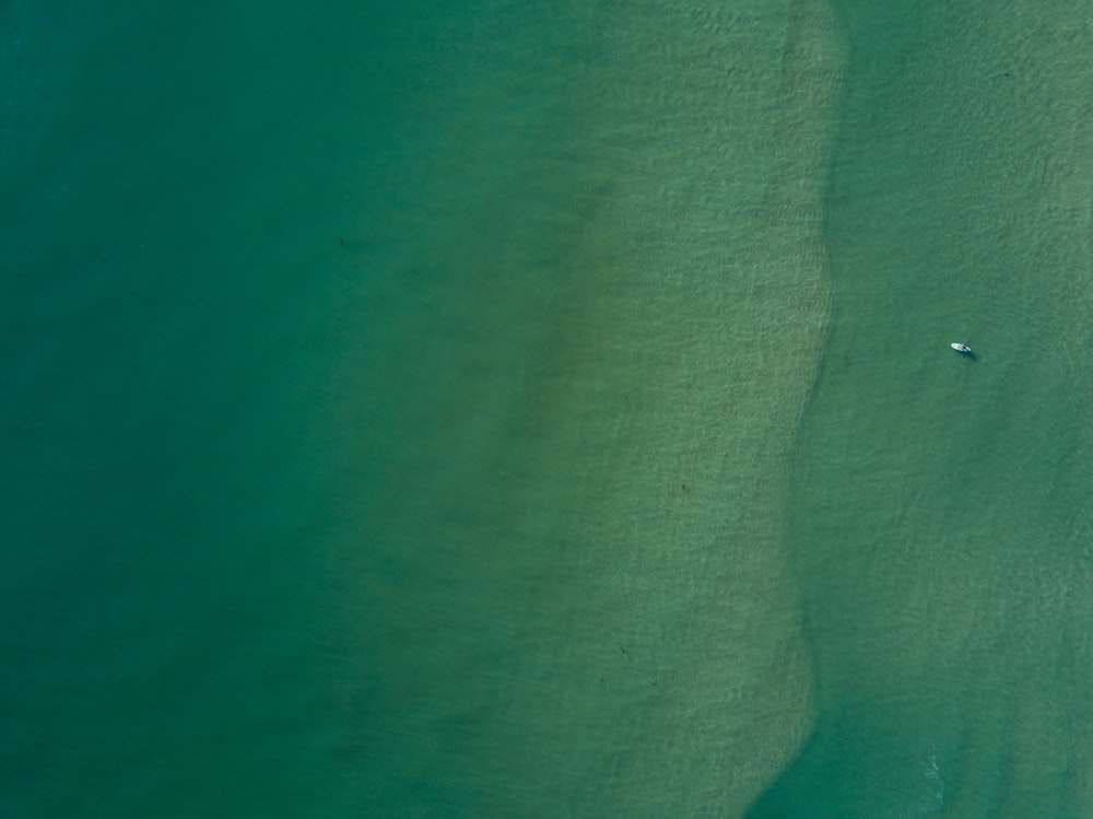 bird's eye view of boat on body of water