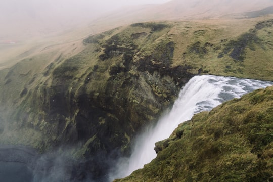 landscape photo of waterfalls in Skógafoss Iceland