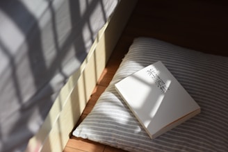 A book with a white cover featuring Japanese text lies on a striped pillow. Sunlight casts soft shadows from nearby objects, creating a serene and quiet atmosphere. The setting appears to be indoors with natural lighting.
