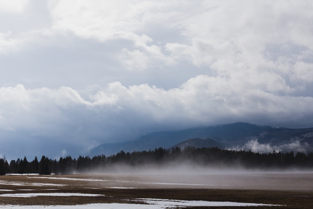 trees near mountain under white clouds during daytime