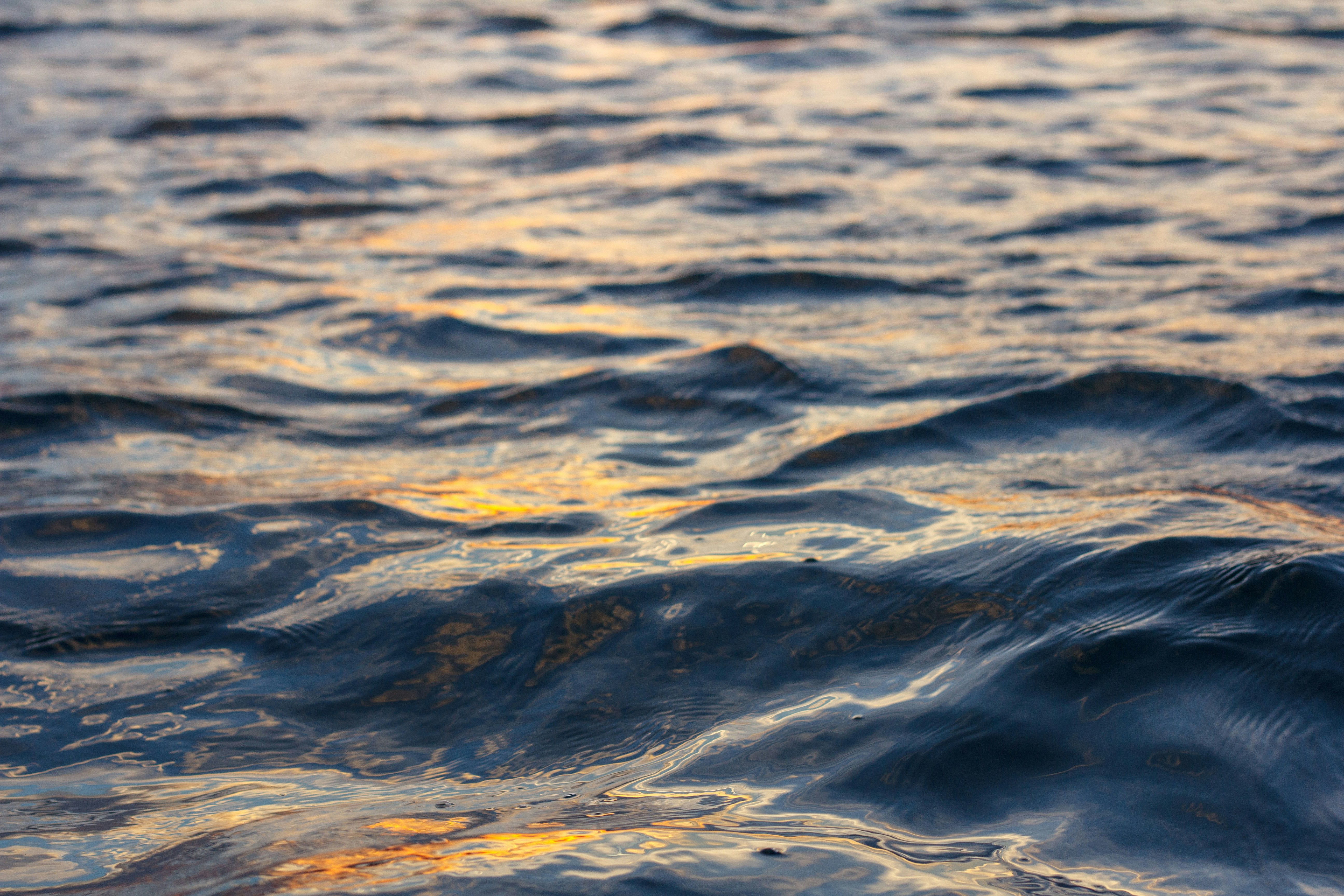 Free Unsplash photo from Joshua Peacock