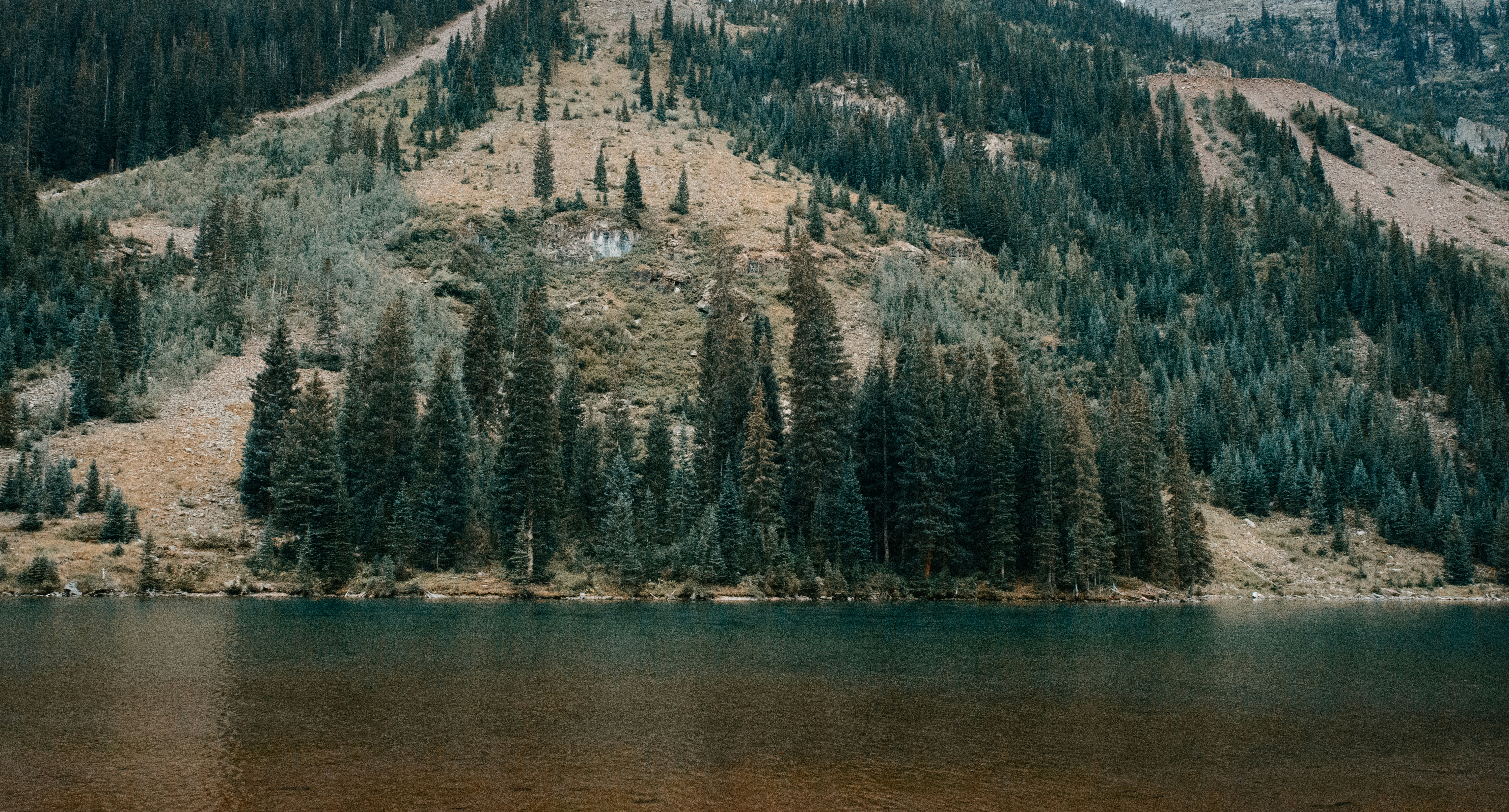 Free Unsplash photo from Nathan Pirkle