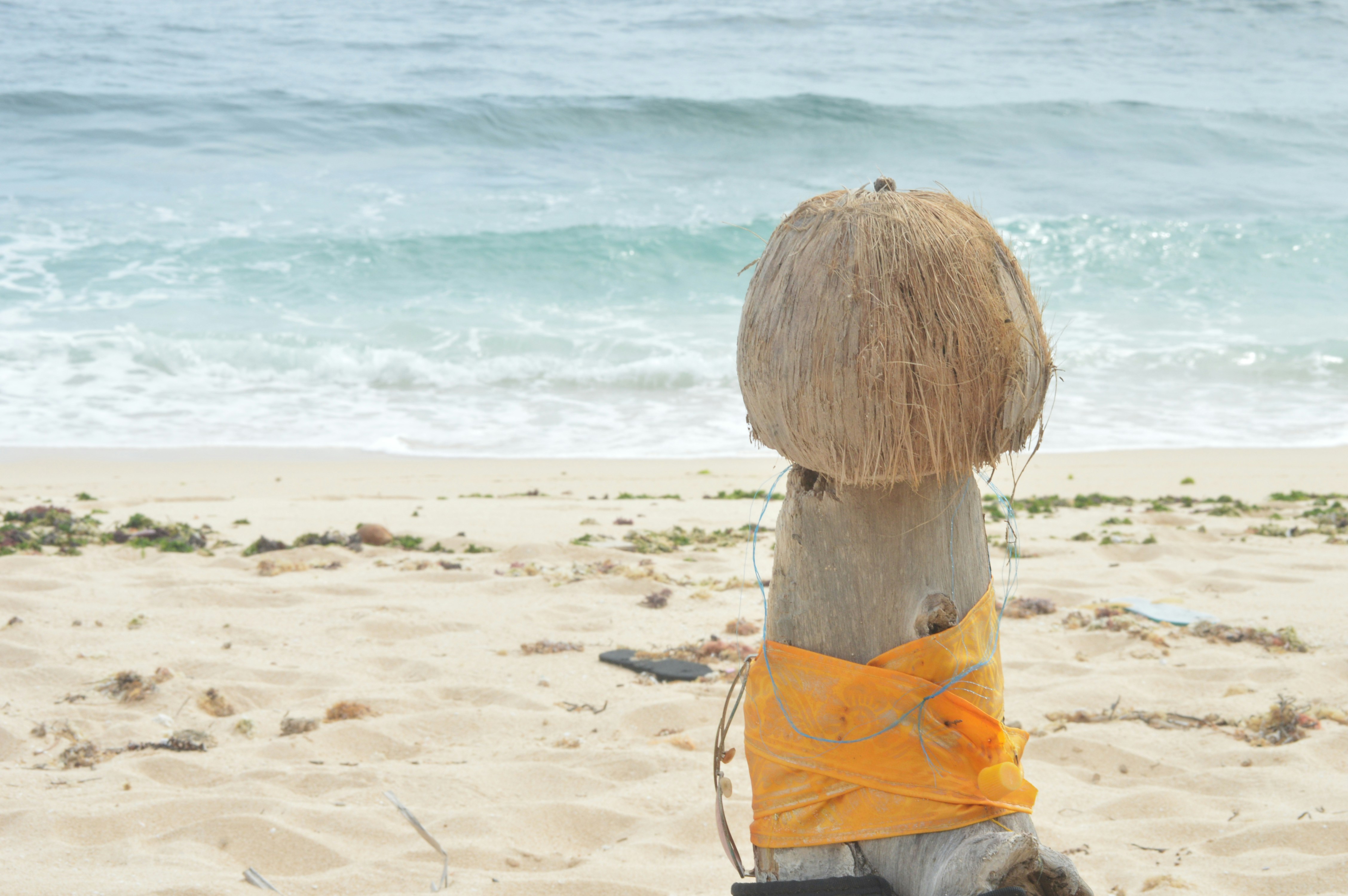 Free Unsplash photo from Nana Chen