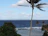 Close-up of a tropical coastal painting featuring palm trees and gentle waves.