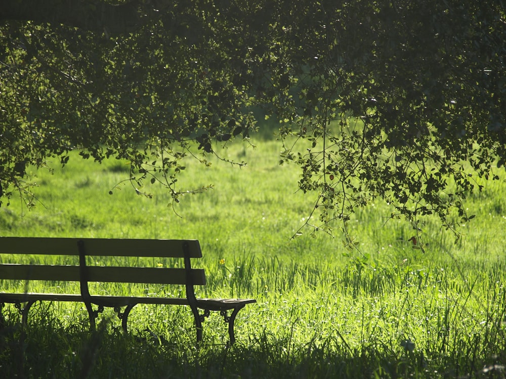 緑の芝生のそばに茶色と黒の木製のベンチ